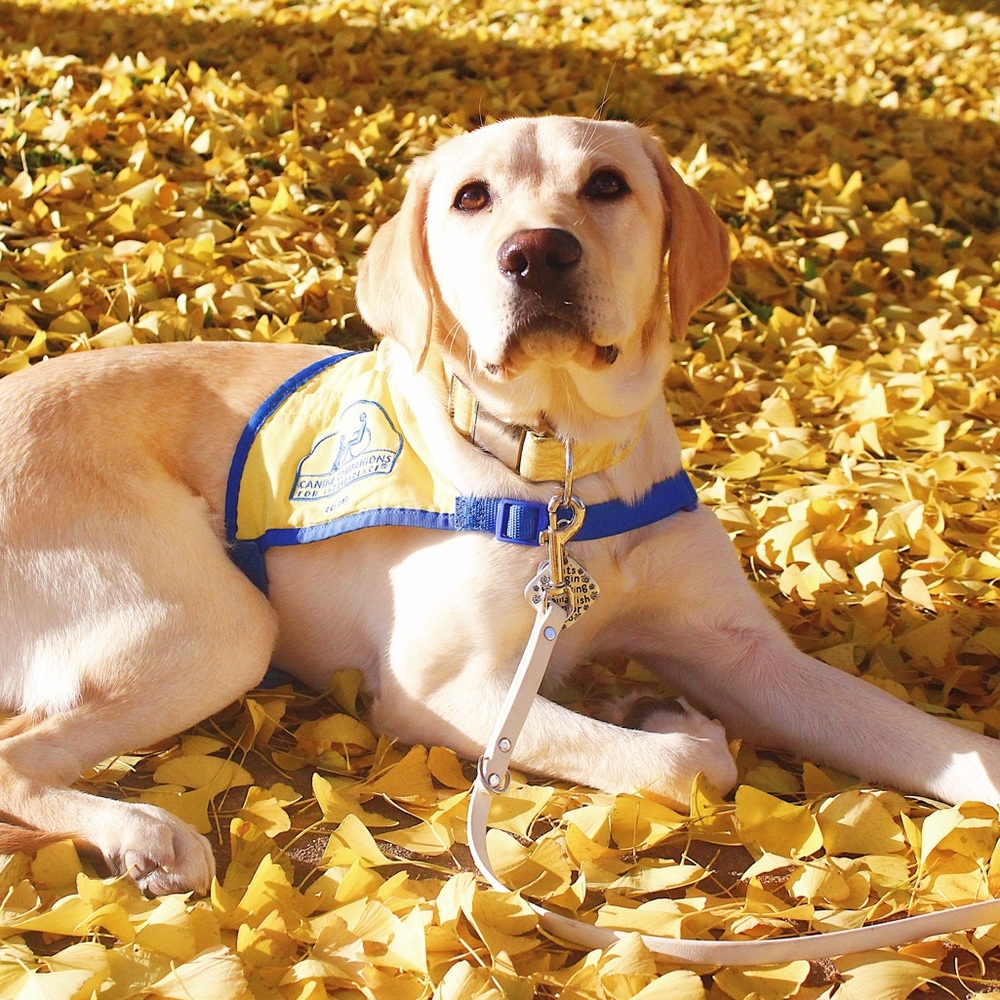 Welcome to my closet!